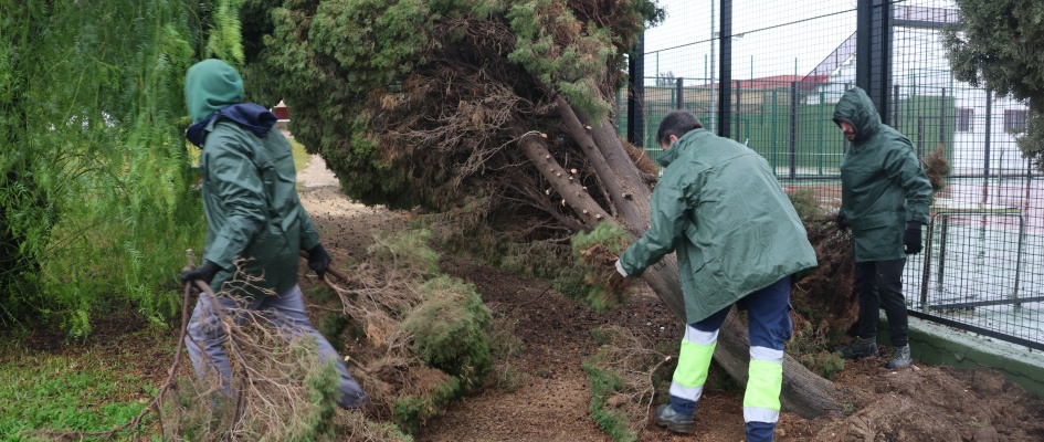 LA ALCALDESA ANUNCIA EL INICIO DE LA RECUPERACIÓN DE LA NORMALIDAD EN OSUNA TRAS EL PASO DE LAS BORRASCAS