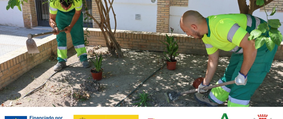 PLANTACION ARBOLES Y ARBUSTOS