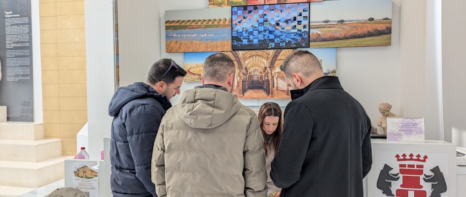 PXL_20241208_110418371